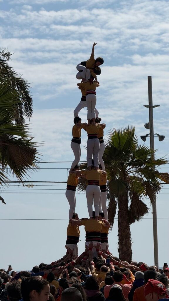 Arrenquem curs per la porta gran! 85fd832c c45d 4772 b498 0c9653eb09ef