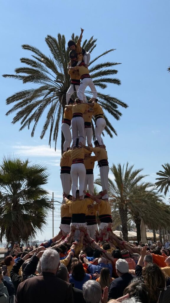 Arrenquem curs per la porta gran! cc83f129 3ce6 4f4a 9d19 0b96afa2ebae